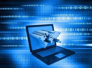 窺國內(nèi)IT生態(tài)體系 一花一世界，互聯(lián)網(wǎng)信息服務(wù)的無限可能