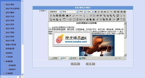 專業進出口服務公司整站解決方案 美工大氣后臺完整，精品源碼共享